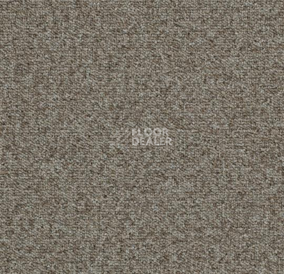 Ковровая плитка Tessera Basis 379 Suede фото 1 | FLOORDEALER